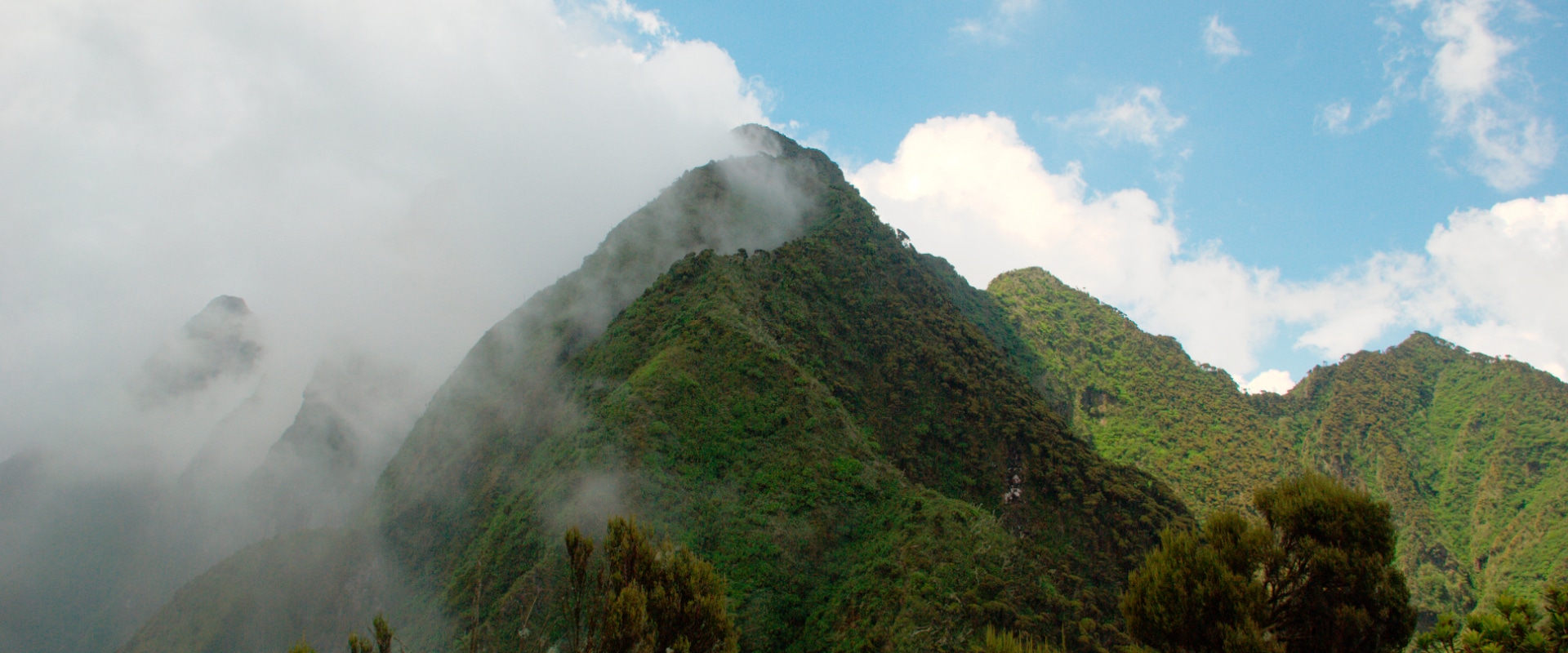 gorilla-tracking-day-trip-1-full-width