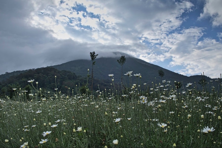 Mountain Sabyinyo in the mist